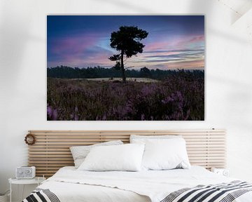 The heather in bloom, Loonse Drunense dunes by Nynke Altenburg