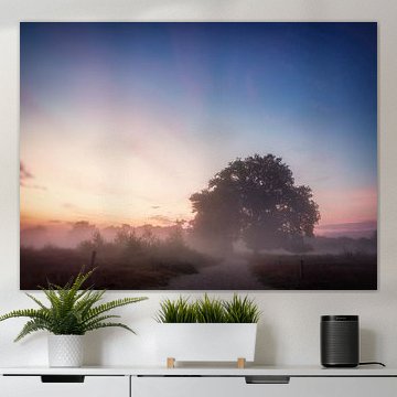 Dans la lumière du matin sur Lex Schulte