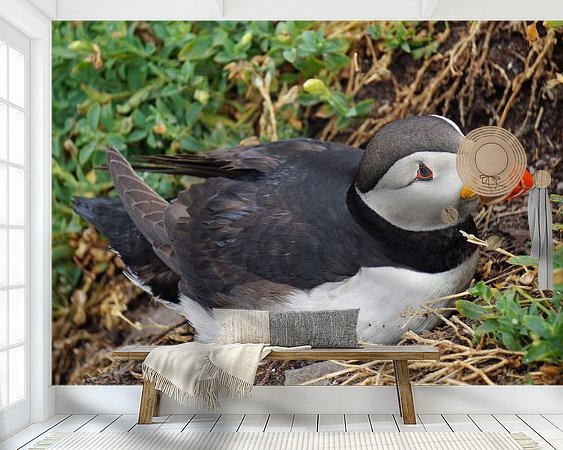 Raumvorschau