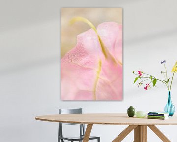 Hortus Botanicus | Botanische tuin Leiden | Bloem| Pastel | Lensbaby Art Print van Gabry Zijlstra