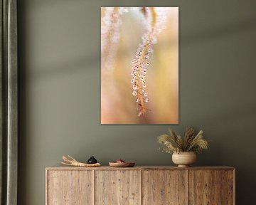 Hortus Botanicus | Botanische tuin Leiden | Bloem| Pastel | zonnedauw | Lensbaby Art Print van Gabry Zijlstra