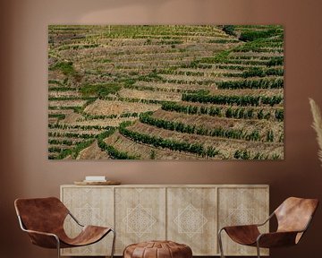 Vineyards in the Douro Valley in Portugal by Jessica Lokker