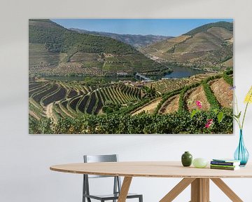 Wijngaarden in de Douro vallei in Portugal (omgeving Pinhao)