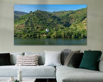 Wijngaarden aan de Douro rivier in Portugal