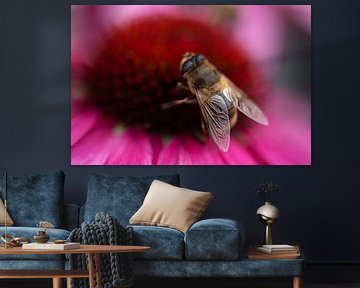 Bee on pink flower