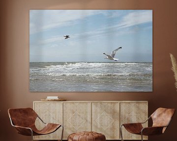 Flying gull above the sea
