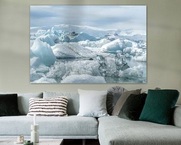 Seal swimming between icebergs and floes in Iceland by Leon Brouwer