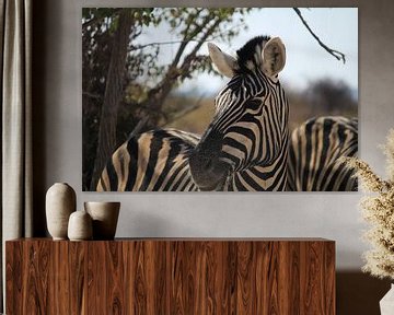 Portret van Zebra in Etosha National Park van Eline Sieben