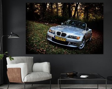 BMW Z3 by Rob Boon