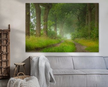 Doldersummerveld woodland lane by Mark van der Walle