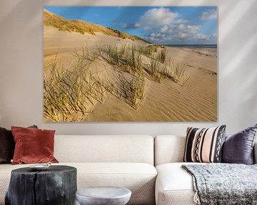Les dunes d'Ameland