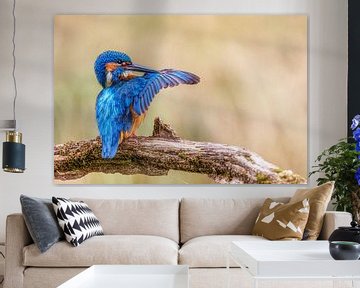 Kingfisher van Thomas Herzog