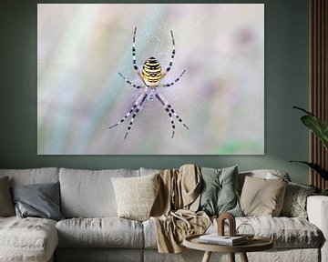 Wasp spider by Antoine Deleij