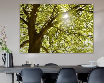 der Baum von Violetta Honkisz
