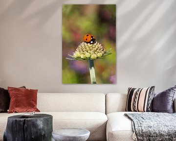 Lieveheersbeestje op een bloemknop met een kleurrijke achtergrond van Dagmar Hijmans