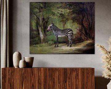 Zebra by Gisela- Art for You