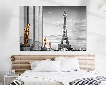 Eiffeltoren PARIJS Trocadero van Melanie Viola