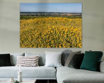 Vue aérienne de la vue des collines du Limbourg du Sud