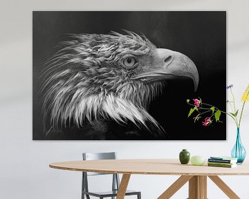 American White-tailed Eagle in black and white by Dennis Schaefer