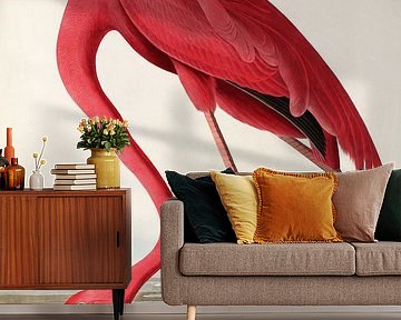 American Flamingo - Teylers Edition - Birds of America, John James Audubon by Teylers Museum