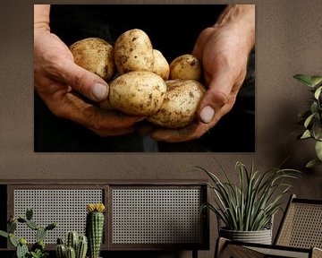oogst aardappels van Photoned