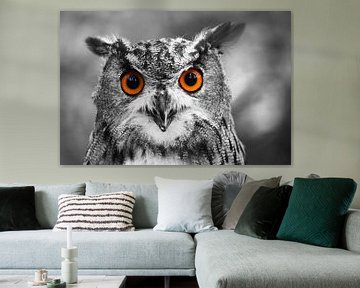 Eagle owl portrait by Marcel Schauer