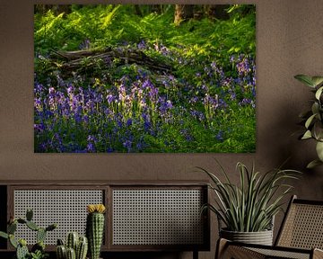 Surrounded by wild hyacinths. by Margreet Frowijn