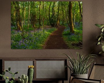 Walking between the wild hyacinths by Margreet Frowijn