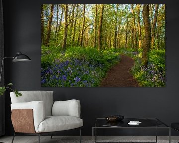 Footpath through the forest by Margreet Frowijn