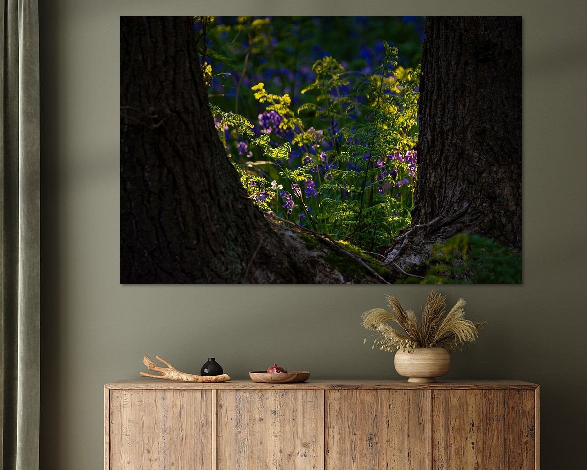 Raumvorschau
