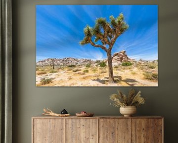 Impression du parc national de Joshua Tree sur Melanie Viola