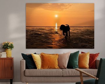 Labrador Retriever Welpe bei Sonnenuntergang von Annelies Cranendonk