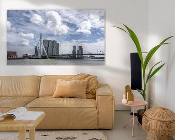 Rotterdam Erasmusbrug (Color)