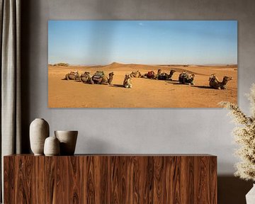 kamelen in de woestijn van Marokko van Jan Fritz