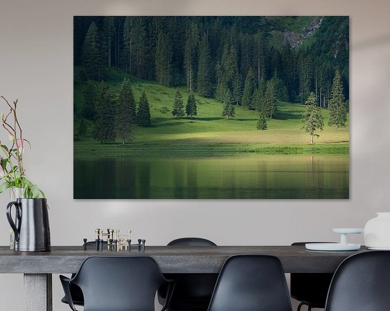 Aperçu de la chambre