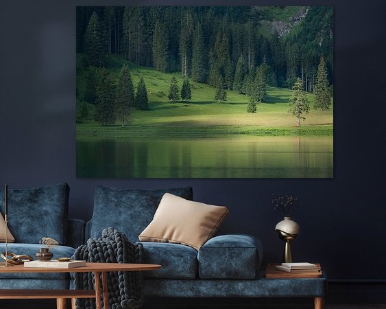 Aperçu de la chambre