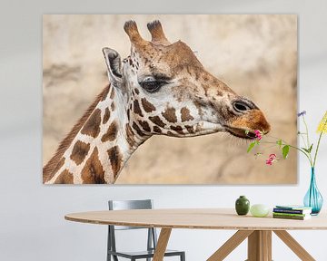 tête de girafe sur Cindy van der Sluijs