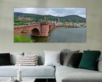 Heidelberg Panorama