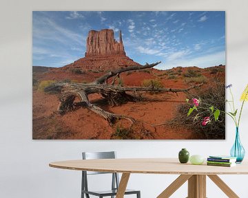 Mittens Butte - Monument Valley von Marcel Schauer