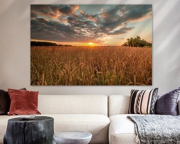 Sonnenaufgang über einem Weizenfeld von Johan Honders
