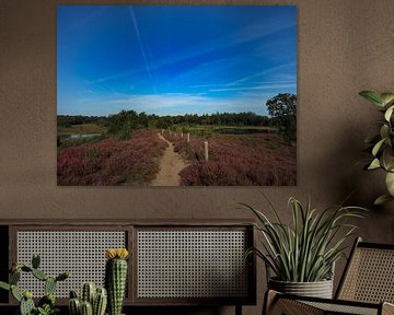 flowering heather by Marieke Funke