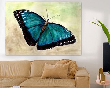 Butterfly by Sandra Steinke