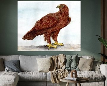 Eagle by Sandra Steinke