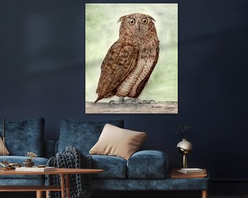 Hibou sur Sandra Steinke