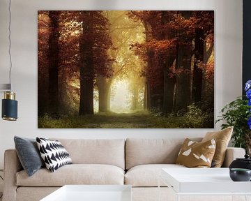 Warmes Licht (Herbstwald mit Nebel) von Kees van Dongen