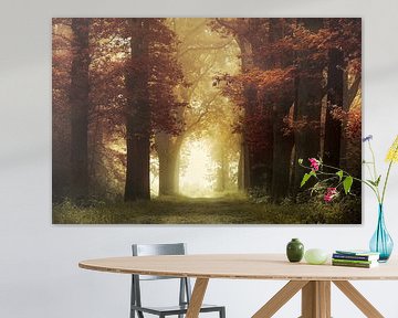 Warmes Licht (Herbstwald mit Nebel) von Kees van Dongen