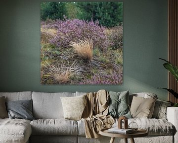 Bloeiende heide met gras en mos van Mark van Harlingen