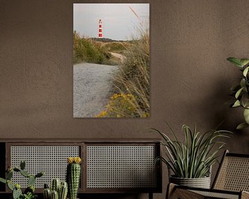 Ameland-Leuchtturm mit Straße durch hügelige Dünenlandschaft von Mayra Fotografie