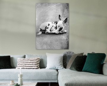 Dierenwereld - Ezel van JayJay Artworks