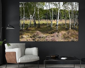 Blick auf Bäume und Heidekraut Planken Wambuis von Vrije Vlinder Fotografie